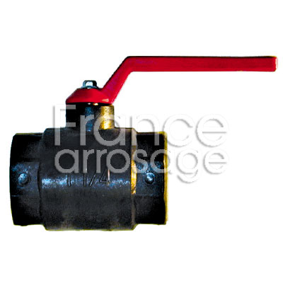 VANNE BS FF 1 1/4  PPG