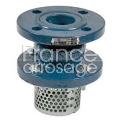 CLAPET FTE + CREPINE DN 150 ¤