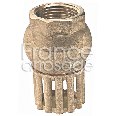 CREPINE LAITON + CLAPET 1 F