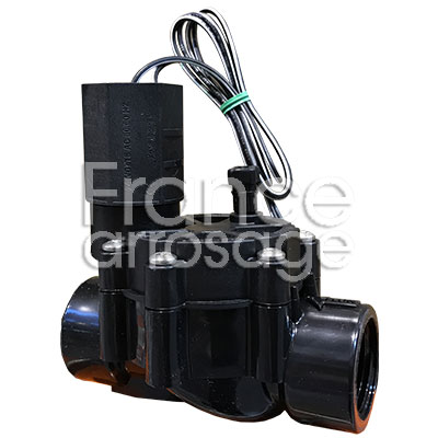 EV RB  1 FF NR DV 100