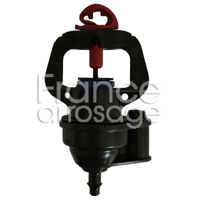 ASP DAN 2002 TETE HAUT BLEU