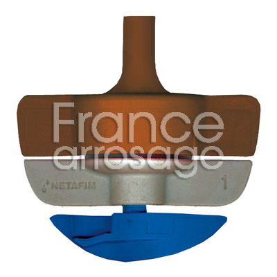 ASP SPINNET TURB SR / MARRON