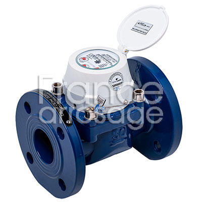 COMPTEUR DN 100 WOLTMANN 1IMPULSION/10Litres