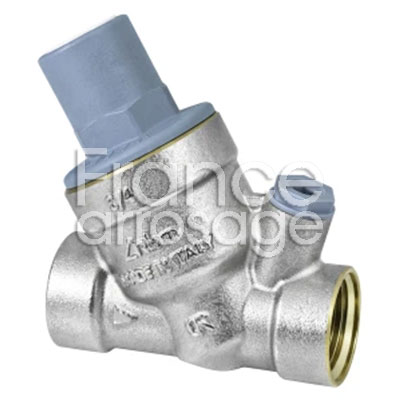 REGUL RINOX PLUS 1" 1/2 FF