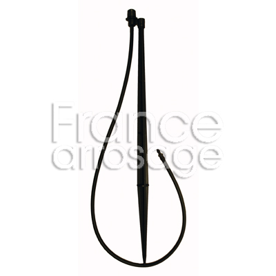 ENSEMBLE SPECTRUM SPIKE 40