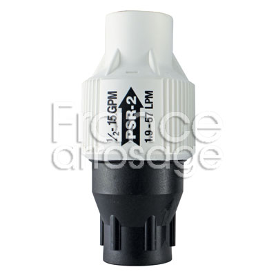 [30PSR210300] REGULATEUR PSR-2  0.69B 3/4 FF