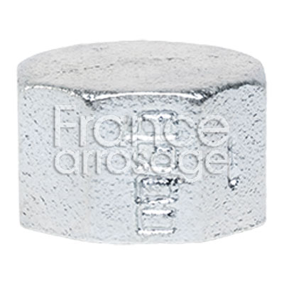 [22BF007600I] BOUCHON G  2 1/2  F