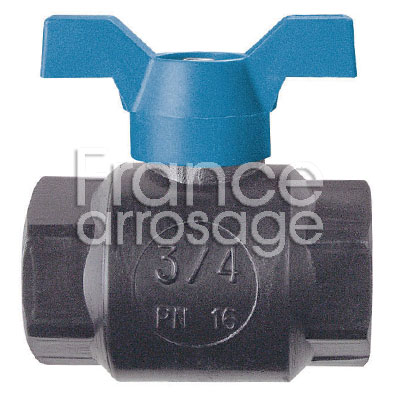 [30BFI01000H] VANNE BS FF  3/4  PPG ARTIC