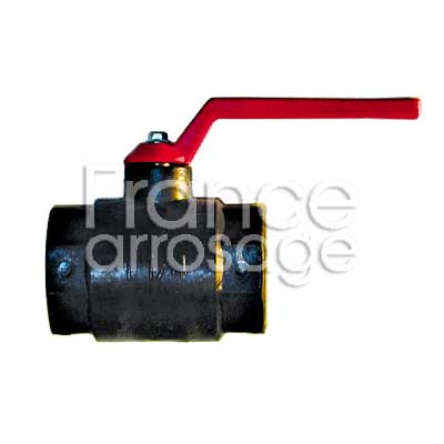 [30BFIP4949H] VANNE BS FF 1 1/2  PPG