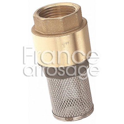 [30CRE00600H] CREPINE INOX + CLAPET 2 F