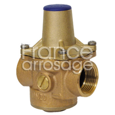 [30DEB07B21H] REGUL  DESB 7 BIS  1/2 FF