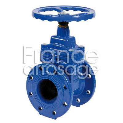 [30VO100000H] VANNE OPERCULE FONTE DN100 ¤