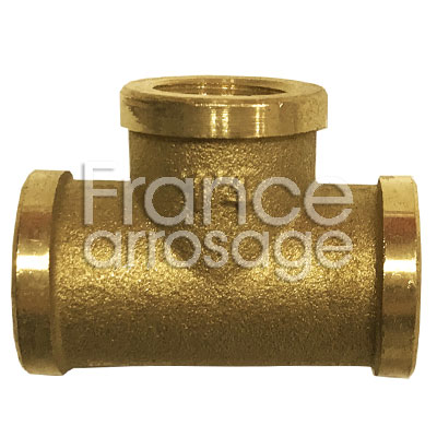 [31TF212100H] TE LAITON 1/2  FFF