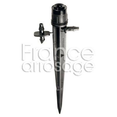 [50ANSP2S00K] SPECTRUM  360° / PIQUE (x25)