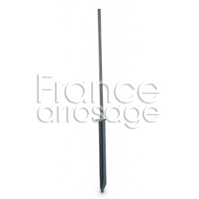 [609RBPIPFRM] ALLONGE +PIQUE RB PFR/RS ¤