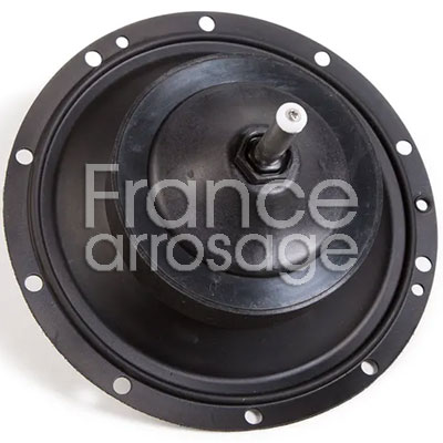 [82RBBPES300] SO BPES300 300 BPES DIAPH ASSY