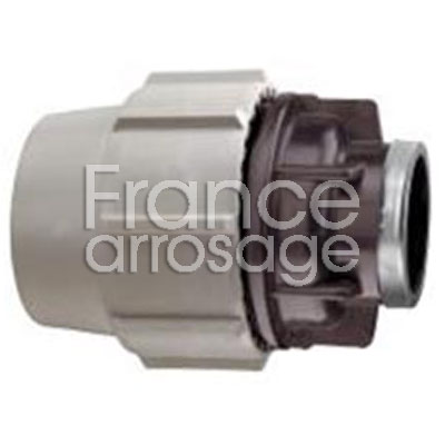 [14FF634200F] RAC PLASSON 63 x 1 1/4 FF